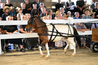 AJB_0470