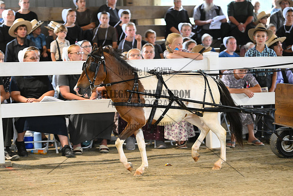 AJB_0470