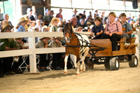 AJB_0471