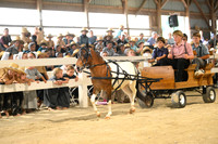 AJB_0472