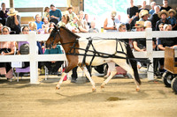 AJB_0474