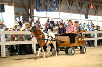 AJB_0476
