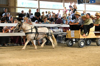 AJB_0480
