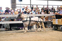 AJB_0485