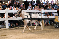 AJB_0487