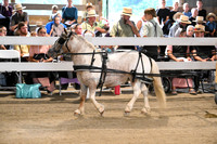 AJB_0488