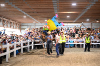 AJB_0798