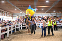 AJB_0799