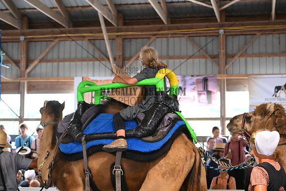 AJB_0728