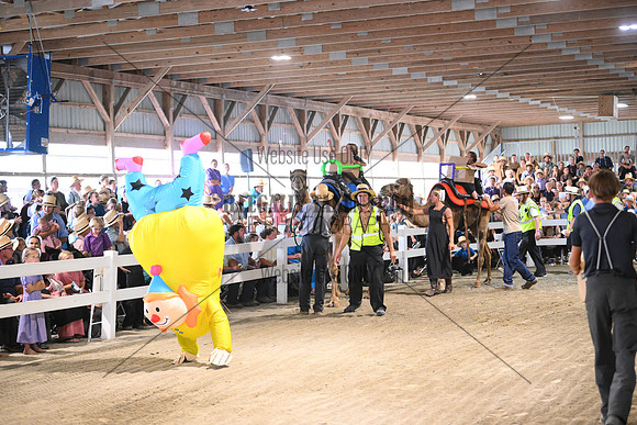 AJB_0738