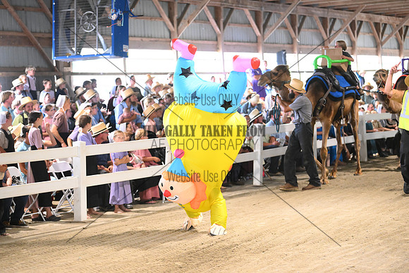 AJB_0739