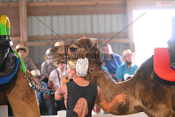 AJB_0750