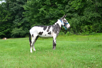 AJB_0814