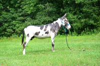 AJB_0821