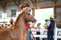 AJB_0087