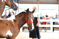 AJB_0022