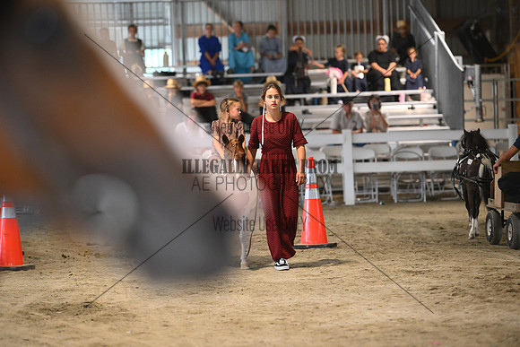 AJB_0048
