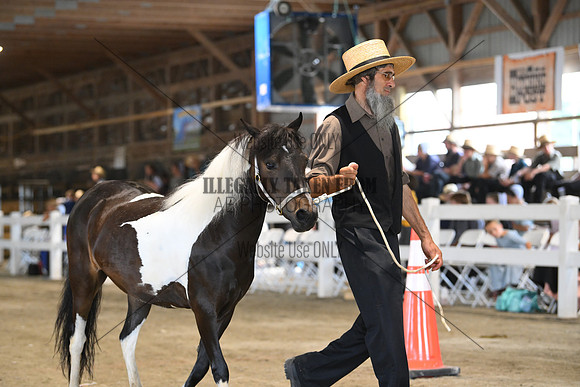 AJB_0066