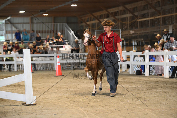 AJB_0084
