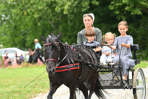 AJB_0350
