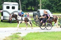 AJB_0356
