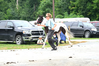 AJB_0363