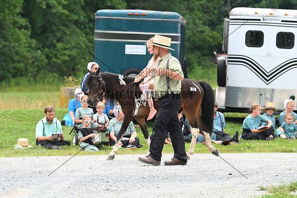 AJB_0097