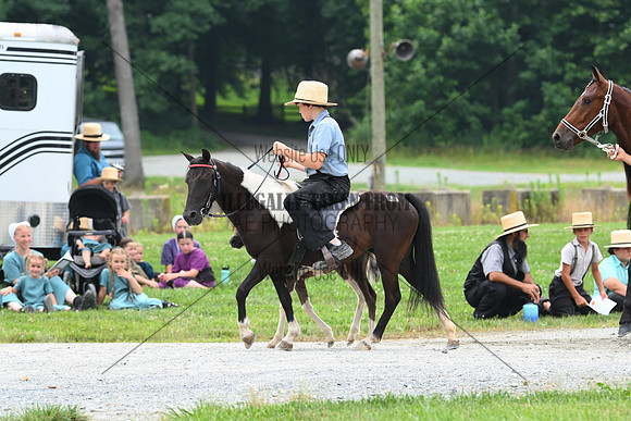 AJB_0138