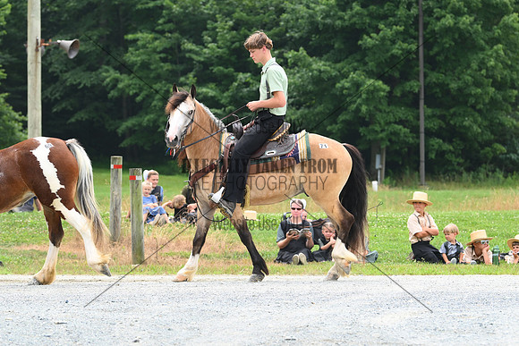 AJB_0184