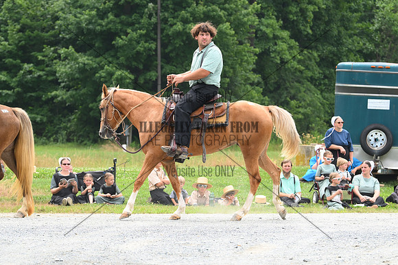 AJB_0189