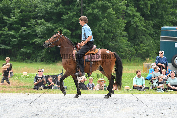AJB_0192