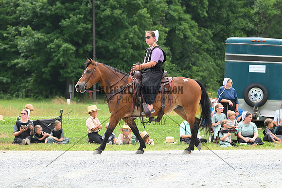 AJB_0195