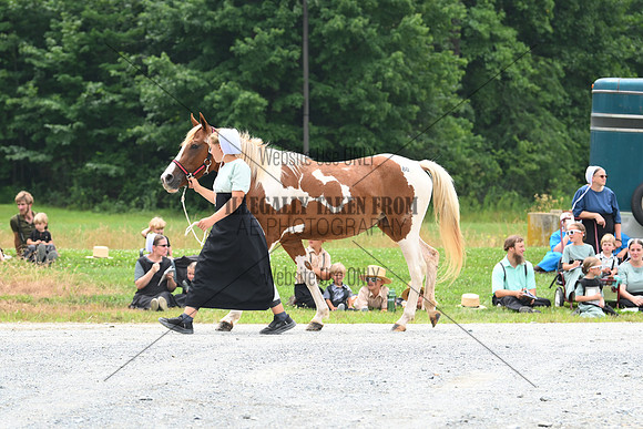 AJB_0198