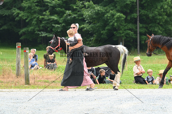 AJB_0204