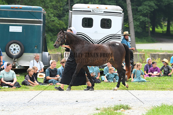 AJB_0209