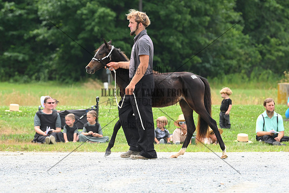 AJB_0215