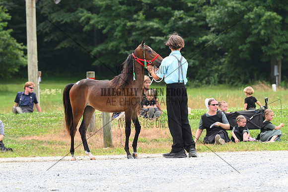 AJB_0219