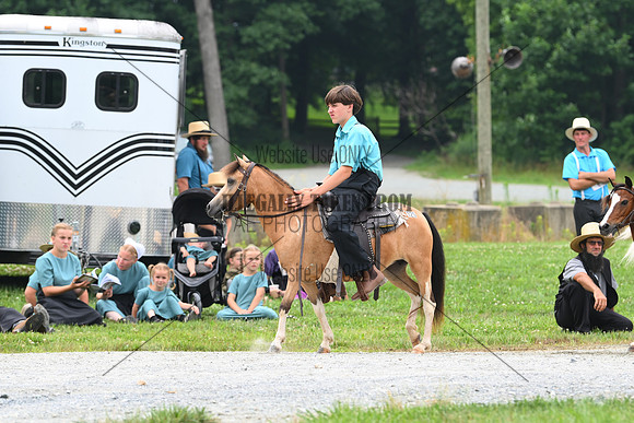 AJB_0263