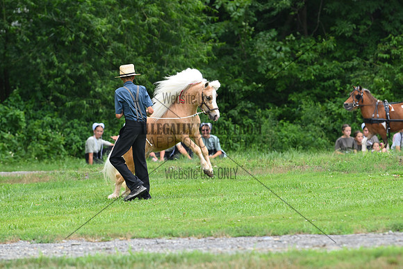 AJB_0274