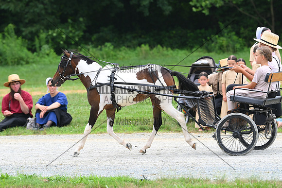 AJB_0276