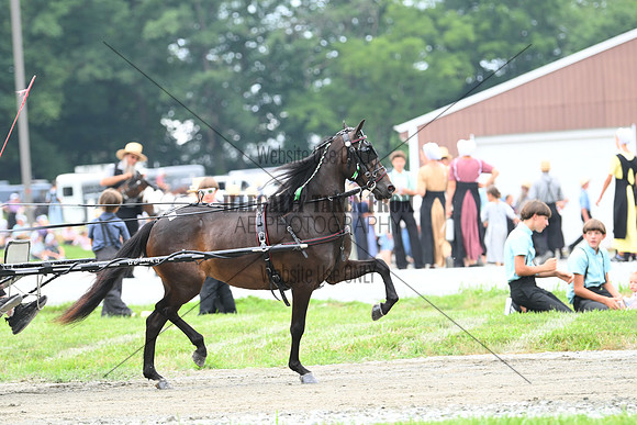 AJB_0281