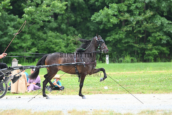 AJB_0286