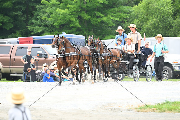 AJB_0290