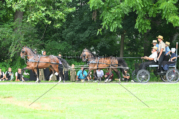 AJB_0296