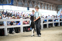 AJB_0958