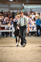 AJB_0962