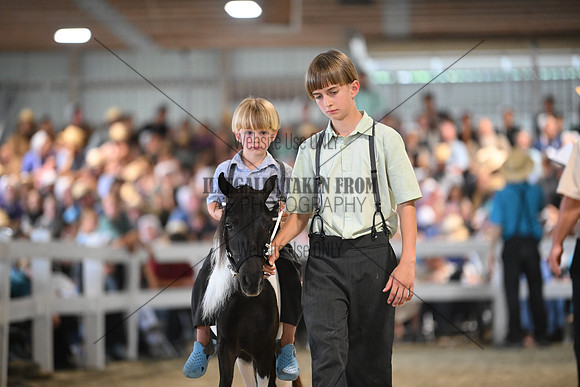 AJB_0963