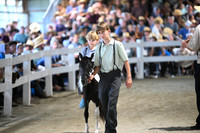 AJB_0965