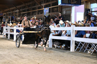 Lot 101