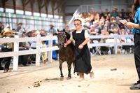 AJB_2010